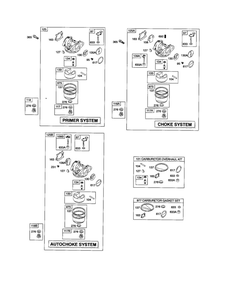 Carburetor Diagram and Parts List for 123K02-0353-E1  Briggs and Stratton Engine